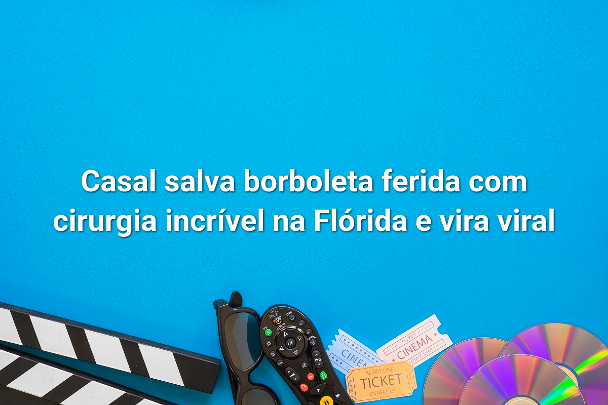 Casal salva borboleta ferida com cirurgia incrível na Flórida e vira viral